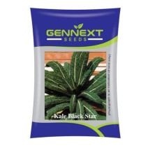 Kale Black star - Gennext 10gm