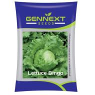 lettuce bingo Gennext (10gm)
