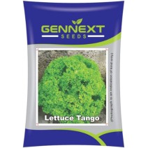 lettuce tango Gennext 10G seeds