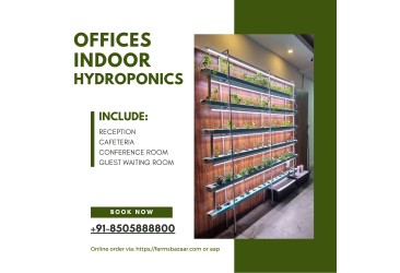 hydroponics grow media