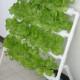 32 Plants Hydroponic Grow Kit