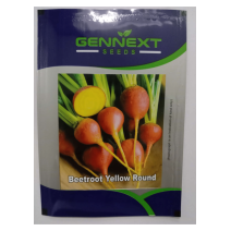 Beetroot yellow Round - Gennext 10gm