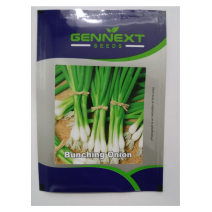 Bunching Onion  seeds - Gennext 10 gm