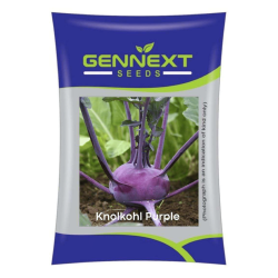 kohlrabi purple seeds - Gennext  seeds 10gm