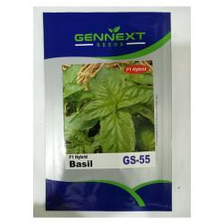 F1 Hybrid Basil GS-55 -  Gennext 1gm