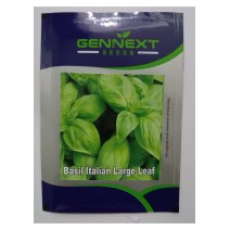 Basil Italian Large Leaf Seeds - GENNEXT SEEDS 1gm
