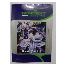 Basil Purple Seeds - Gennext Seeds 1gm