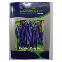 Beans Purple seeds - Gennext 1gm (400-500 seeds)
