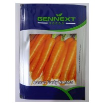 Carrot Early Nantes - Gennext 1gm (400-500 seeds)