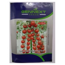 Hybrid Cherry Tomato Red Gold - Gennext 1gm (400-500 seeds) 