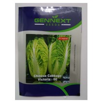 Chinese Cabbage Victoria-60 Gennext 1gm (400-500seeds)
