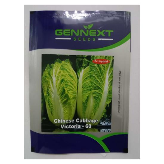Chinese Cabbage Victoria-60 Gennext 1gm (400-500seeds)