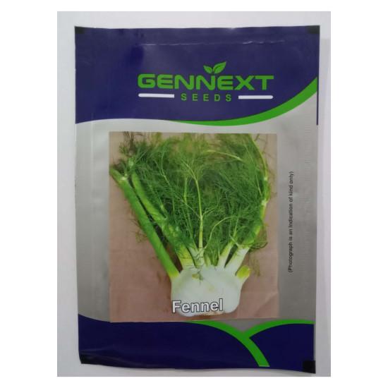 Fennel Seeds - Gennext 1gm (400-500seeds)