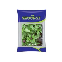 Thai basil - Gennext 1gm 400-500 seeds