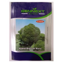 Hybrid Broccoli Mario - Gennext 1gm (400-500 seeds) 