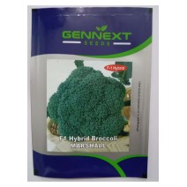 F1 Hybrid Broccoli Marshall - Gennext 1gm (400-500 seeds)