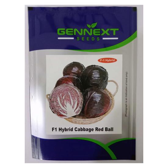 F1 Hybrid Cabbage Red Ball - Gennext 1gm (400-500 seeds)