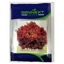 Lettuce Lollo Rosso - Gennext Seeds 1gm (400-500 seeds)