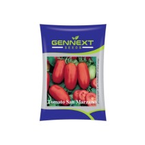 Tomato San Marzano - Gennext 1gm (400-500 seeds)