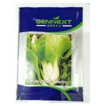 Pakchoy White Seeds - Gennext Seeds 1gm(400-500 seeds)