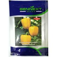 F1 Hybrid Sweet Pepper Yellow Sunrise - Gennext 1gm (400-500seeds)