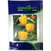 F1 Hybrid Sweet Pepper Yellow Sunrise - Gennext 1gm (400-500seeds)
