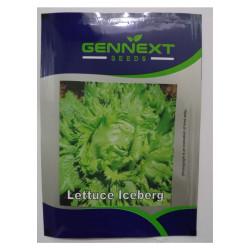 Lettuce Iceberg Variety Bingo Seeds - Gennext (1gm)