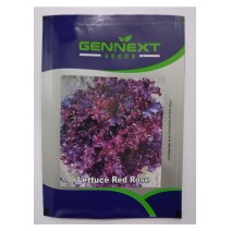 lettuce Red Rose - Gennext (10gm)