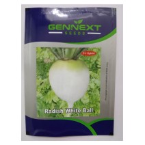 Radish White Ball seeds Gennext-10(gm)