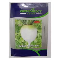 Radish White Ball seeds Gennext-10(gm)