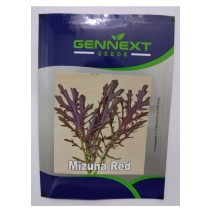 Mizuna Red seeds - Gennext 1gm (400-500 seeds)
