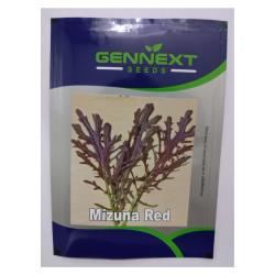 Mizuna Red seeds - Gennext 1gm (400-500 seeds)