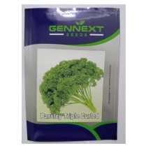 Parsley triple curled seeds-GENNEXT 1gm-(400-500seeds)