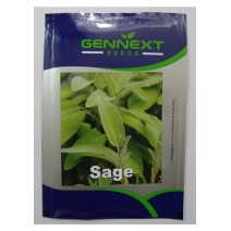 Sage seeds GENNEXT 1gm-(400-500Seeds)