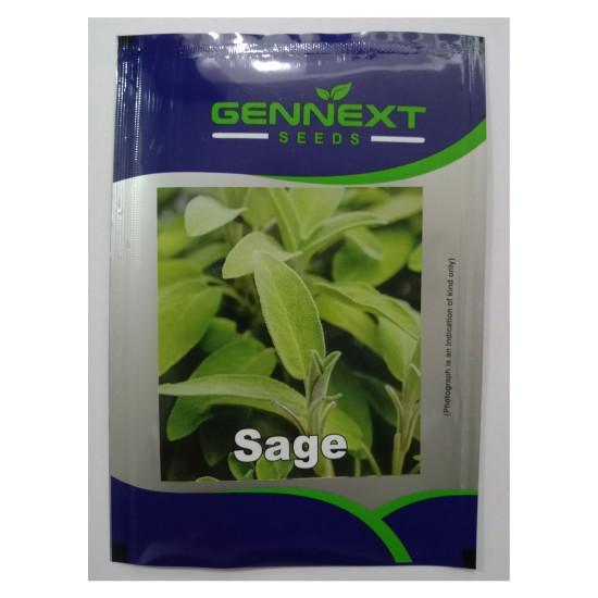 Sage seeds GENNEXT 1gm-(400-500Seeds)