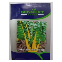 Swiss Chard yellow sunrise  Seeds Gennext-1gm (400-500Seeds)