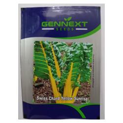 Swiss Chard yellow sunrise  Seeds Gennext-1gm (400-500Seeds)