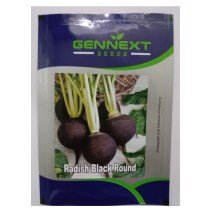 Radish Black Round seeds Gennext 1gm(400-500seeds)