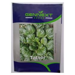 Tatsoi seeds Gennext 1gm(400-500seeds)