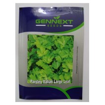Parsley Italian Large leaf seeds Gennext-1gm(400-500seeds)
