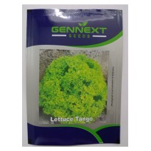 lettuce tango seeds Gennext 1gm-(400-500seeds) 