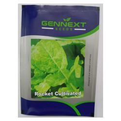 Rocket Cultivated seeds Gennext-1gm(400-500seeds)