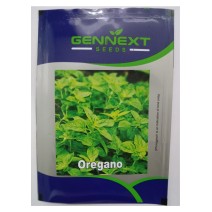 Oregano seeds Gennext 1gm(400-500seeds)