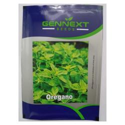 Oregano seeds Gennext 1gm(400-500seeds)