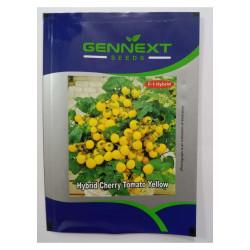 Hybrid Cherry Tomato Yellow seeds Gennext 1gm (400-500seeds)