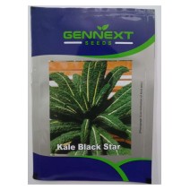 kale Black Star Seeds Gennext -1gm (400-500seeds)