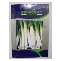 Leek Long Giant seeds GenNext 1gm (400-500seeds)