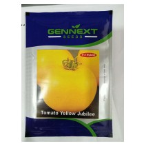 Tomato Yellow Jubilee - Gennext Seeds 1gm(400-500seeds)
