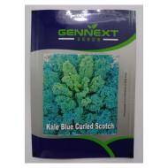 Kale Blue Curled Scotch - Gennext Seeds 1gm(400-500seeds)