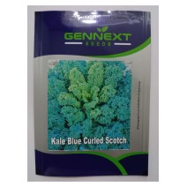 Kale Blue Curled Scotch - Gennext Seeds 1gm(400-500seeds)